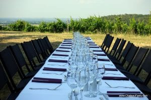 Dinner in the vines at Chateau Feely