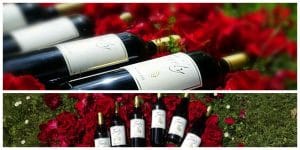 Feely wine for your Valentine