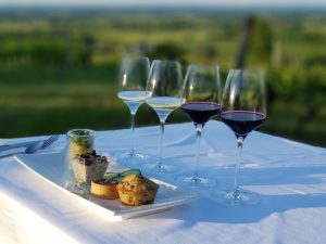 Chateau-feely-wine_and_food_pairing750