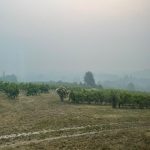 Smoke in Saussignac 18 July 2022