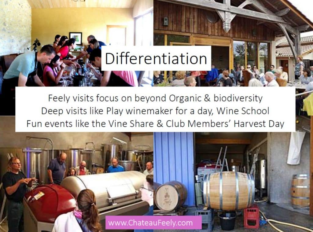 Wine Tourism Tips Differentiation