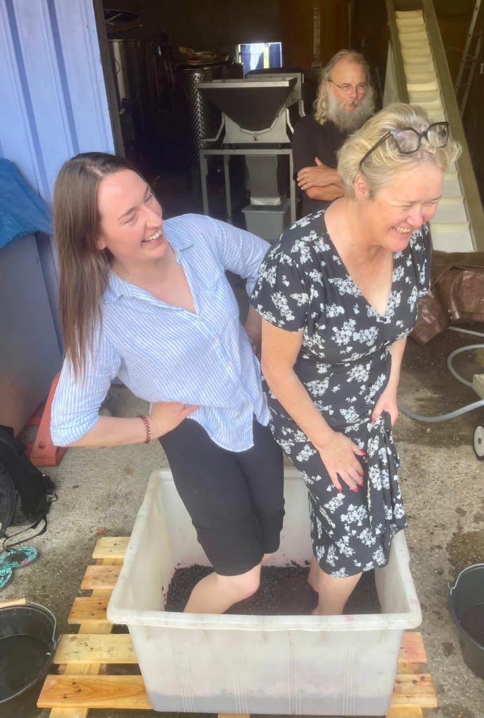 Aoife and Maeve Stomping the Grapes harvest 2025