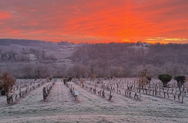 Winter Wonderland at Chateau Feely vines that produce Silex, Generosite and Mille Fleurs view from the WIne Lodge